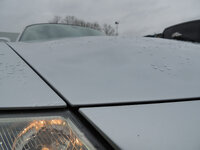 DSCN0483.jpg