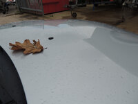 DSCN0487.jpg