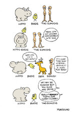 hippo-birdie2.jpg