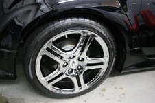img0891medium.jpg