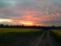 sunset_zps3f337db3.jpg