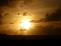 P1010869_zpsdbd7cd13.jpg