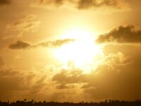 P1010870_zpsc23ee0b7.jpg