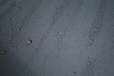 IMG_6294_zpsdf2da50a.jpg