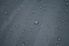 IMG_6293_zps931369a6.jpg
