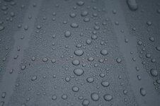 IMG_6292_zps7b83cdc1.jpg