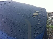 photo3-1.jpg