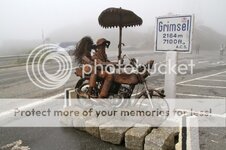 IMG_1162_zps598249a9.jpg