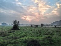 null_zps0fe66fb7.jpg