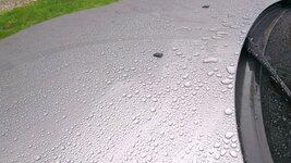 BEEDING1_zpsa6694d82.jpg