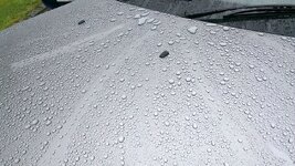 BEEDING3_zpscdbc43e3.jpg