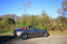 IMG_8398.jpg