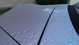 IMG_20131010_084150.jpg