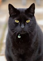 Harry3_zps710e22e8.jpg