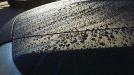 20131110_085650_resized_zps16886d5d.jpg