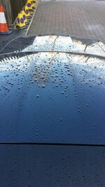 20131102_142450_resized_zpsfba7d536.jpg