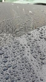 20131112_085931_RichtoneHDR_resized_zps07af6d32.jpg