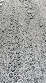 20131112_085810_RichtoneHDR_resized_zps34a24ac1.jpg