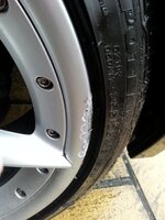 2013-11-18080544.jpg
