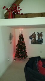 20131205_101056_zps7a2fc7f4.jpg