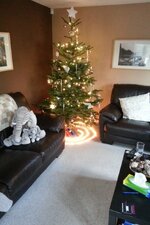IMG_20131208_145041_zps3948335e.jpg