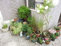 DSCN2419.JPG