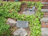 DSCN2424.JPG