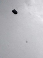 IMG_0557.jpg