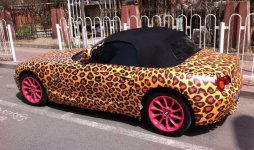 ChineseLeopardZ4.jpg