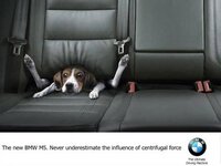 5703b_bmw_m5_funny_dog_ad.jpg
