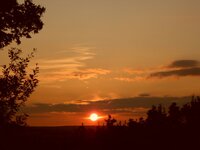 SAM_0780.jpg