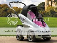 buggy_zpsd71bf6bc.jpg