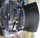 IMG_3998.jpg