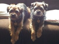 20130430_101326-Copy.jpg