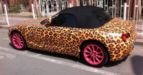 -e85-z4-is-a-pink-spotted-leopard-in-china-58458-7.jpg