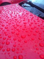 Sonax_zps28390409.jpg