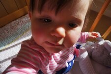 DSC01042_zpse97b3df1.jpg