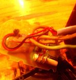 IMAG0194_zps7d0e107e.jpg IMAG0194_zps7d0e107e.jpg