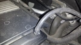 20140306_134358_zpsyfyow90w.jpg 20140306_134358_zpsyfyow90w.jpg