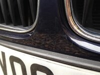 IMG_3673_zps07409413.jpg