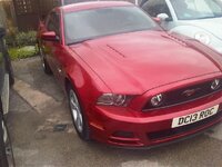 IMG00059-20140404-1831.jpg