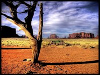 LoneTree-MonumentValley_zpse19a2bee.jpg LoneTree-MonumentValley_zpse19a2bee.jpg