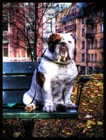 MySeat_zps7846c0f3.jpg MySeat_zps7846c0f3.jpg