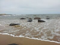 20140420_145215.jpg