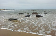 20140420_145215-1.jpg