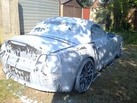 IMG_4735.jpg IMG_4735.jpg