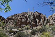 DSC_1067-X3.jpg