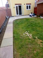 imagejpg3_zps3668aeb1.jpg