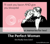 perfect-woman_zpsaa7a3d65.png