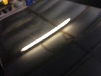 IMG_4842.jpg